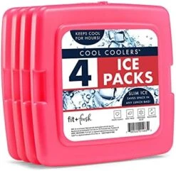+ Fresh Cool Coolers Slim, Reusable Ice Packs For Lunch Bags, Beach Bags, Coolers, And More, Set Of 4, Multicolored -Peugeot Shop 51a2w7t4bCL. AC
