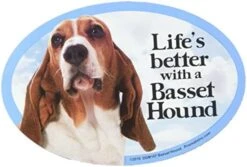 Cat And Dog Magnets, Basset Hound -Peugeot Shop 51aIEWNjQnL. AC