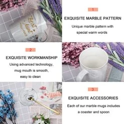 Best Aunt Ever Mug Best Aunt Ever Coffee Mug Best Aunt Ever Gifts Best Aunt Ever Cup Aunt Coffee Mug Birthday Mothers Day Gifts For Aunt From Nephew Niece 14 Ounce Grey With Gift Box Spoon Coaster -Peugeot Shop 51fZxpRTLHL