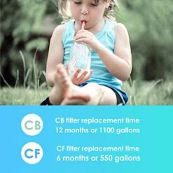 G3 Replacement Filter 1-Year Combo, Pack Of 2 WD-G3-CF Filters And 1 WD-G3-CB Filter, Replacement For WD-G3-W, WD-G3P600 And WD-G3P800-W Reverse Osmosis System, New Logo Design -Peugeot Shop 51hALHidBIL