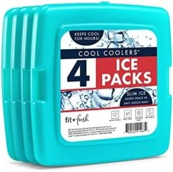 + Fresh Cool Coolers Slim, Reusable Ice Packs For Lunch Bags, Beach Bags, Coolers, And More, Set Of 4, Multicolored -Peugeot Shop 51hqdgxnKSL. AC