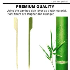 4.7 Inch Bamboo Wood Wooden Paddle Picks Skewers For Cocktail,Appetizers,Fruit Kabobs,Sandwich,Barbeque Snacks.More Size Choices 3.5''/ 4.7''/ 7''/ 10'' (Pack Of 100) 12 4.7 Inch Bamboo Wood Wooden Paddle Picks Skewers For Cocktail,Appetizers,Fruit Kabobs,Sandwich,Barbeque Snacks.More Size Choices 3.5''/ 4.7''/ 7''/ 10'' (Pack Of 100) -Peugeot Shop 51i7AtAlGEL