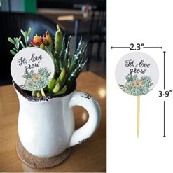 Let Love Grow Succulent Tags Wedding Favors, Greenery Succulent Wedding Favor Tag, Let Love Grow Favor Tags Sticks,Bridal Shower Favor Tag,Baby Shower Tag For Party Succulent Pots Decorations - 30pcs