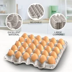Biodegradable Pulp Fiber Egg Flats For Storing Up To 30 Large Or Small Eggs/Egg Crates That Make A Great Home For Roach Colony By MT Products (15 Pieces) 10 Biodegradable Pulp Fiber Egg Flats For Storing Up To 30 Large Or Small Eggs/Egg Crates That Make A Great Home For Roach Colony By MT Products (15 Pieces) -Peugeot Shop 51kyCgGAnLL