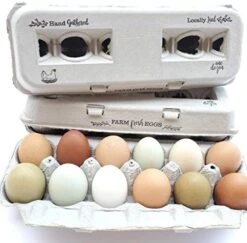 PROLINE 25 Egg Cartons – Vintage Design With Blank Center For Your Custom Stamp At A Cheap Bulk Price, 100% Recycled Biodegradable Cardboard Cartons, Sturdy & Reusable, Holds Small To XL Chicken Eggs -Peugeot Shop 51lyqy9Dc9L. AC