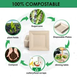 100 Pack Compostable Square Plates 6 Inch Disposable Paper Plates Sugarcane Cake Plates For Party Unbleached Eco-friendly Salad Plates Biodegradable -Peugeot Shop 51mSH49mx6L