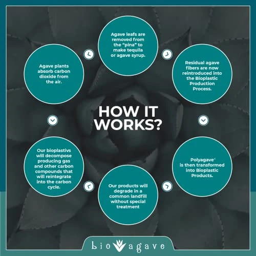 Io Agave - 150 Pack Biodegradable 8 1/4" Standard Straws Made From Agave Fibers | Drinking Straws 4 Io Agave - 150 Pack Biodegradable 8 1/4" Standard Straws Made From Agave Fibers | Drinking Straws - Image 4