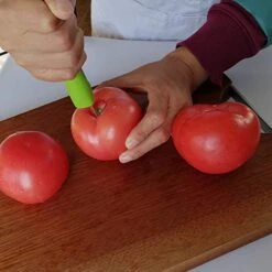 ® Apple Corer,Premium Stainless Steel Remover/Puller,Hand-held Kitchen Tool - Great Handle - 1 Pack -Peugeot Shop 51rxNuCK7uL