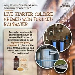 Large Kombucha Scoby & 16oz Bottle Of Starter Tea L Makes One Gallon | Brew Organic Kombucha From Home | Made From Purified Rainwater 10 Large Kombucha Scoby & 16oz Bottle Of Starter Tea L Makes One Gallon | Brew Organic Kombucha From Home | Made From Purified Rainwater -Peugeot Shop 51tjVxJwPIL