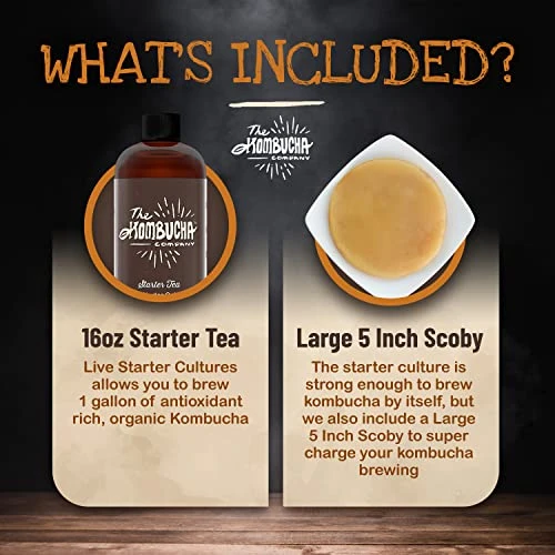 Large Kombucha Scoby & 16oz Bottle Of Starter Tea L Makes One Gallon | Brew Organic Kombucha From Home | Made From Purified Rainwater 2 Large Kombucha Scoby & 16oz Bottle Of Starter Tea L Makes One Gallon | Brew Organic Kombucha From Home | Made From Purified Rainwater - Image 2