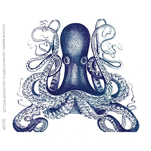 Tervis Plastic Octopus Tumbler With Wrap And Navy Lid 24oz, Clear 2 Tervis Plastic Octopus Tumbler With Wrap And Navy Lid 24oz, Clear - Image 2