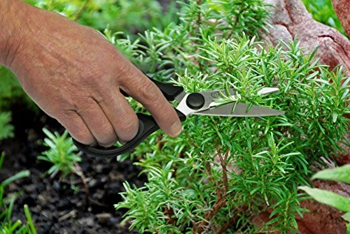 Kitchen Scissors With Magnetic Holder & Tea Infuser - Ultra Sharp Strong Durable - 100% Rust Proof - Soft Grip 6 Kitchen Scissors With Magnetic Holder & Tea Infuser - Ultra Sharp Strong Durable - 100% Rust Proof - Soft Grip - Image 6