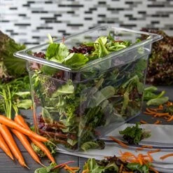 N 1/3 Size 8 Inches Deep Clear (Pack Of 6) 10 N 1/3 Size 8 Inches Deep Clear (Pack Of 6) -Peugeot Shop 61XxNVMinqL