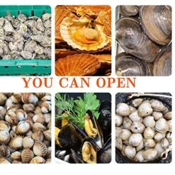 Oyster Opener，Clam Opener Machine， Oyster Shucker Tool Set， Shell Opener Machine -Peugeot Shop 61kbyLyTDgL